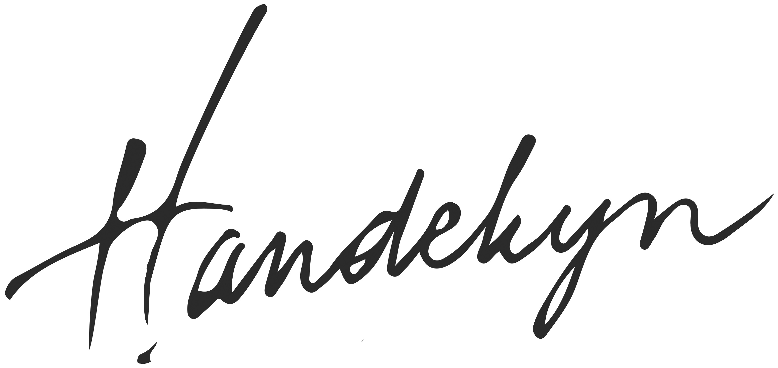 Schoenen Handekyn logo