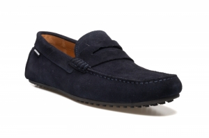 D.blauw