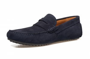 D.blauw
