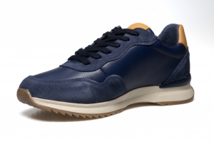 Blauw