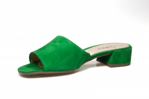 Groen