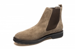 Taupe