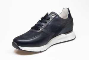 Blauw