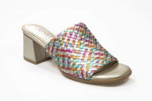  Multicolor