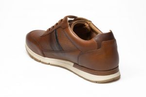  D.Cognac