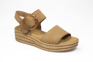 Camel